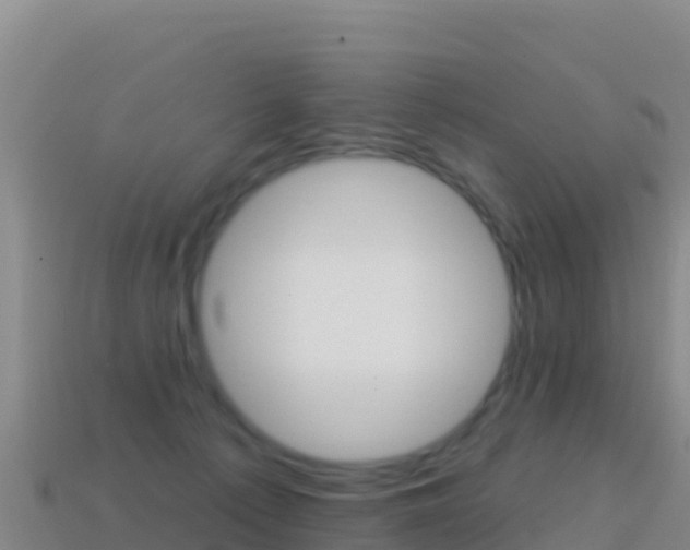 X0000114630225200910201028