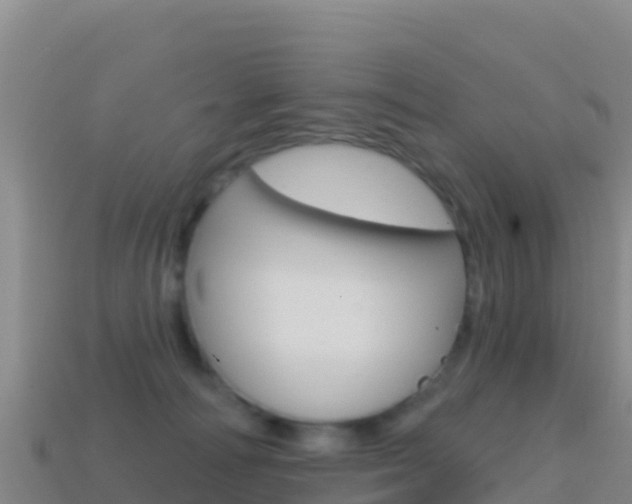 X0000114630226200910201028