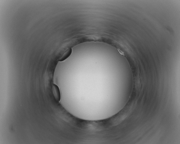 X0000114630229200910201028