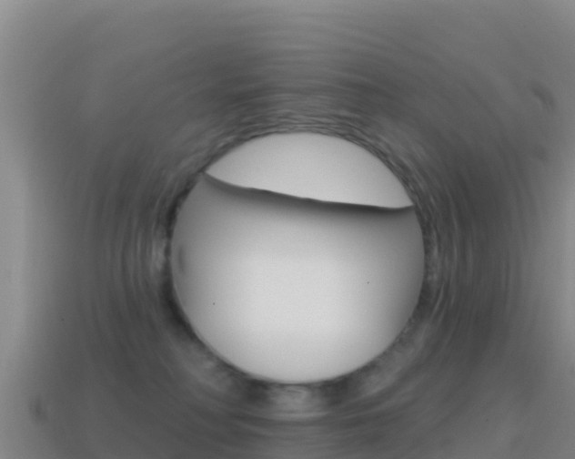 X0000114630230200910201028