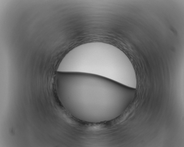 X0000114630235200910201028