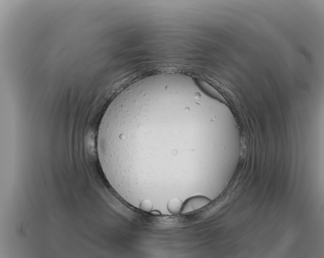X0000114630238200910201028
