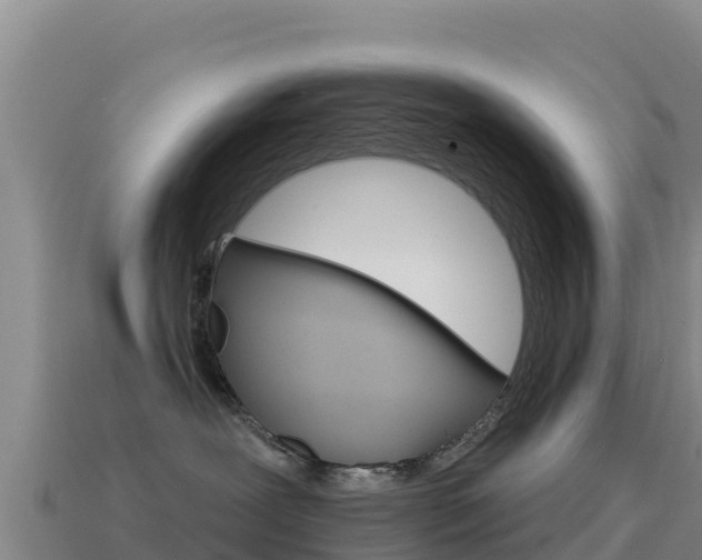 X0000114630239200910201028