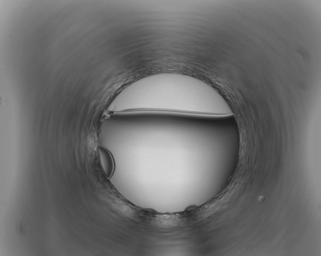 X0000114630240200910201028