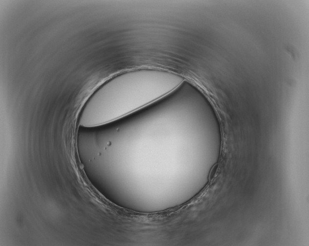 X0000114630241200910201028