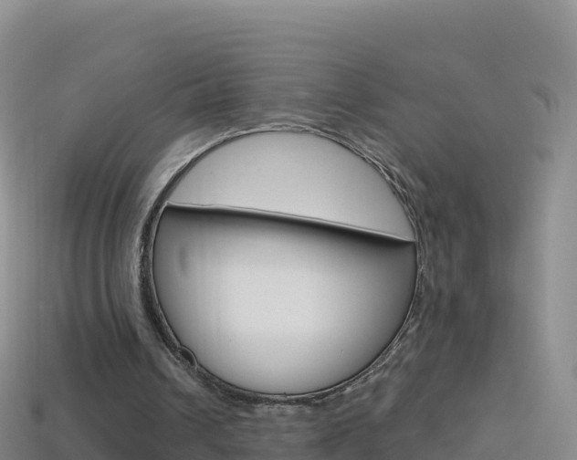 X0000114630242200910201028