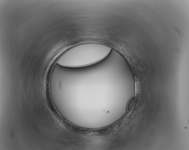 X0000114630243200910201028