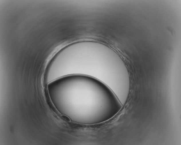 X0000114630244200910201028