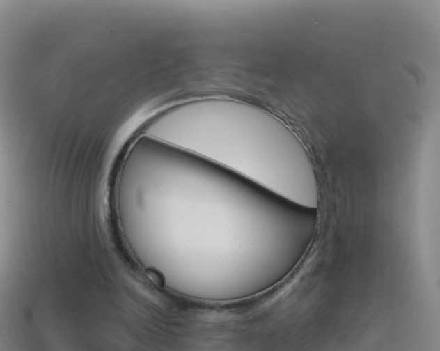 X0000114630246200910201028