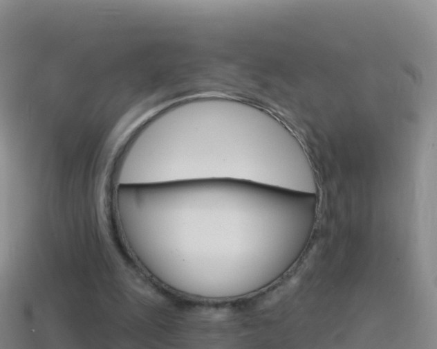 X0000114630247200910201028