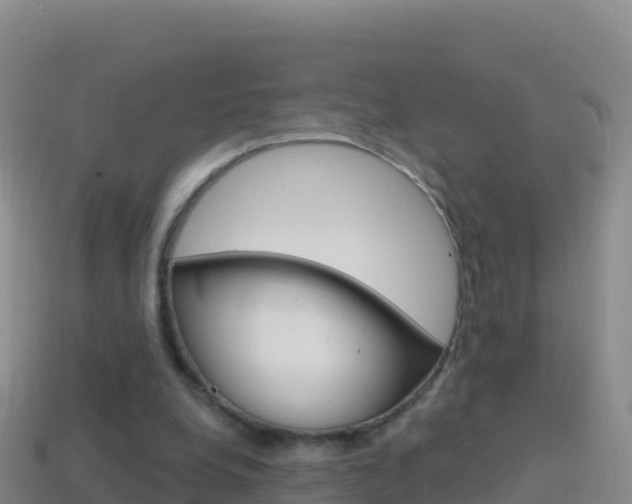 X0000114630248200910201028