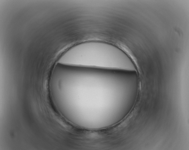 X0000114630249200910201028