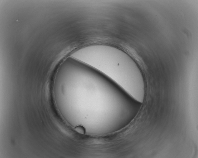 X0000114630250200910201028