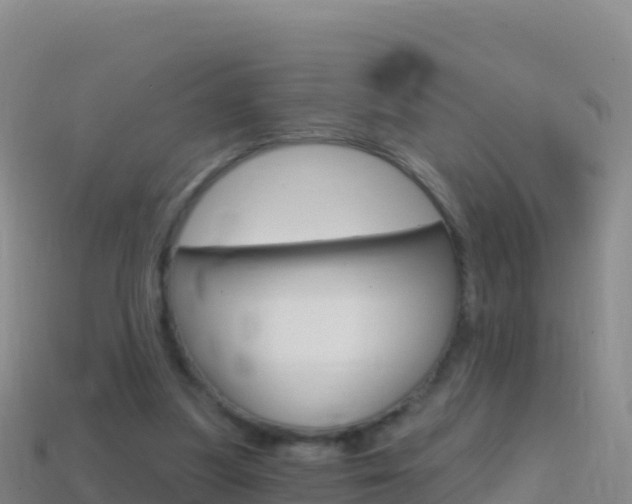 X0000114630251200910201028