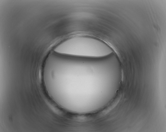 X0000114630253200910201028