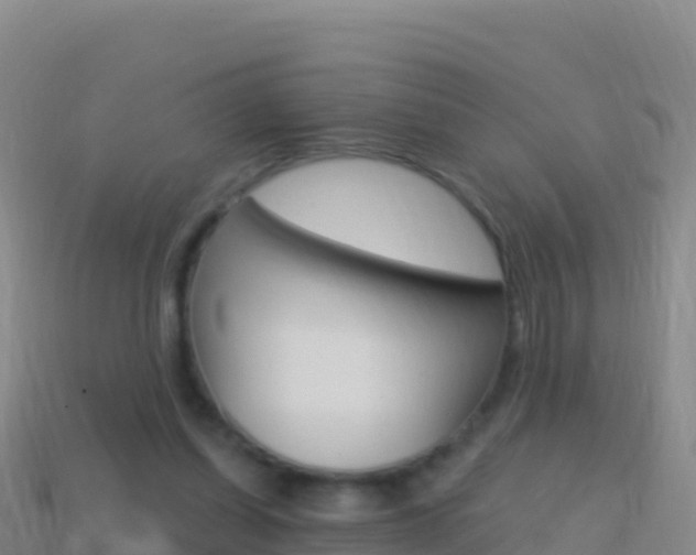 X0000114630254200910201028