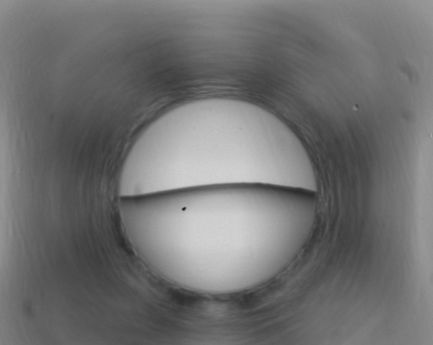 X0000114630255200910201028