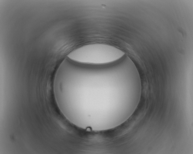 X0000114630259200910201028