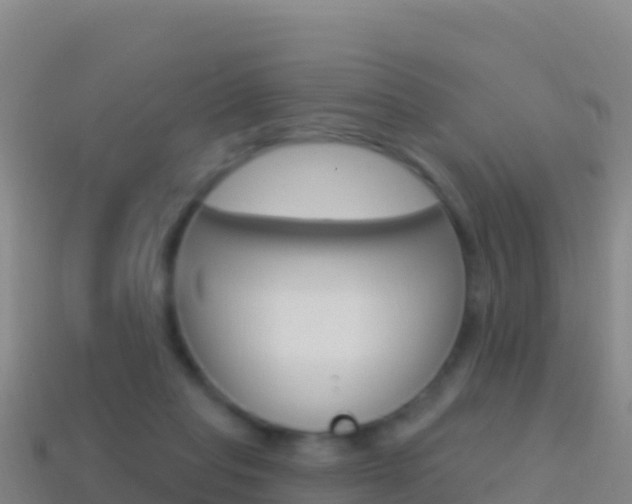 X0000114630261200910201028