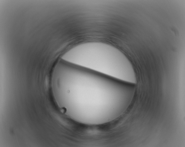 X0000114630262200910201028