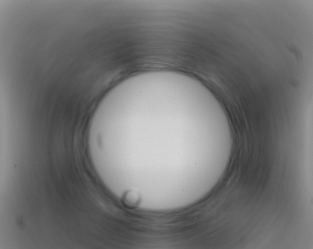X0000114630264200910201028