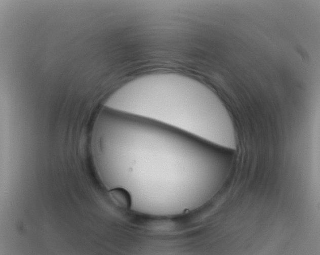 X0000114630266200910201028