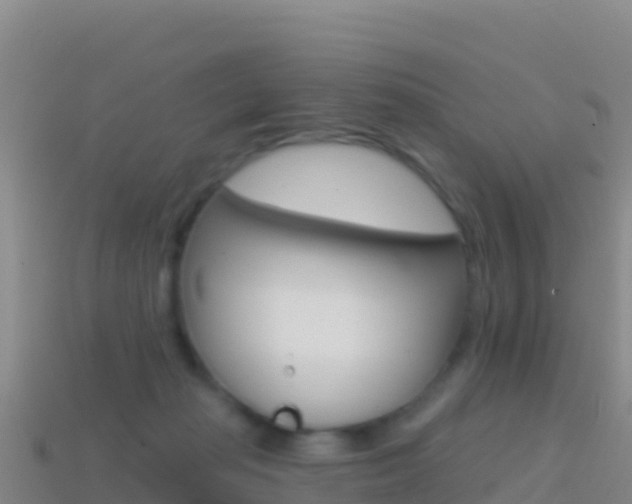 X0000114630269200910201028