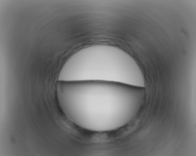 X0000114630271200910201028
