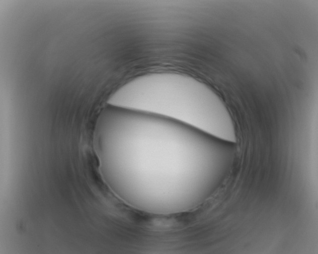 X0000114630272200910201028