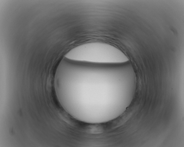 X0000114630275200910201028