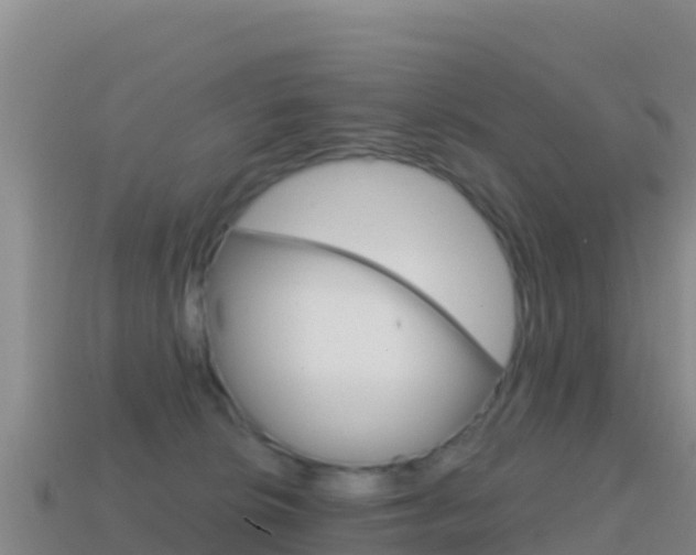 X0000114630276200910201028