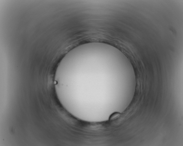 X0000114630278200910201028