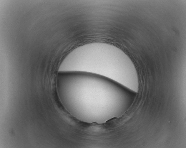 X0000114630280200910201028