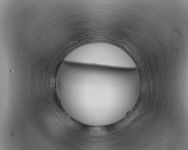X0000114630281200910201028