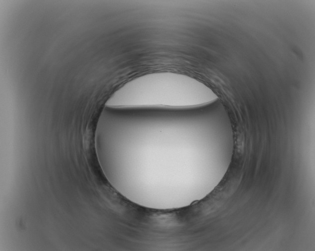 X0000114630283200910201028