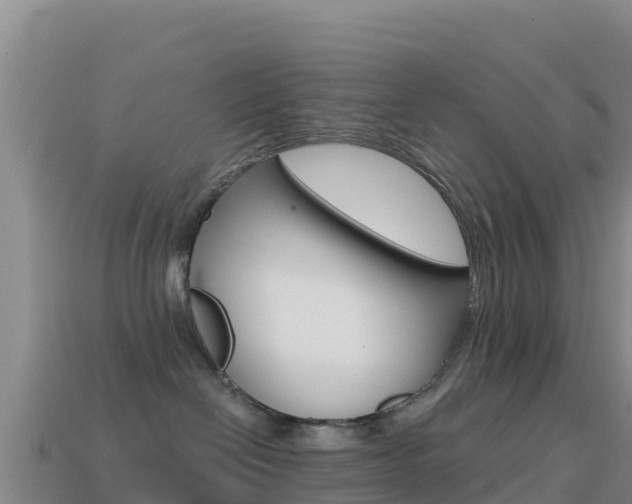 X0000114630286200910201028