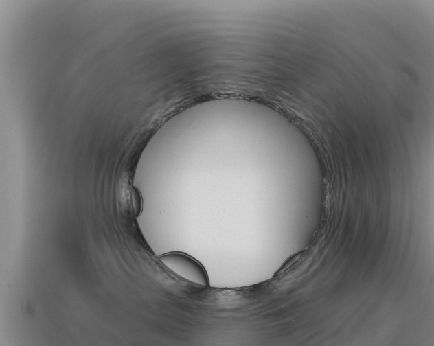 X0000114630287200910201028