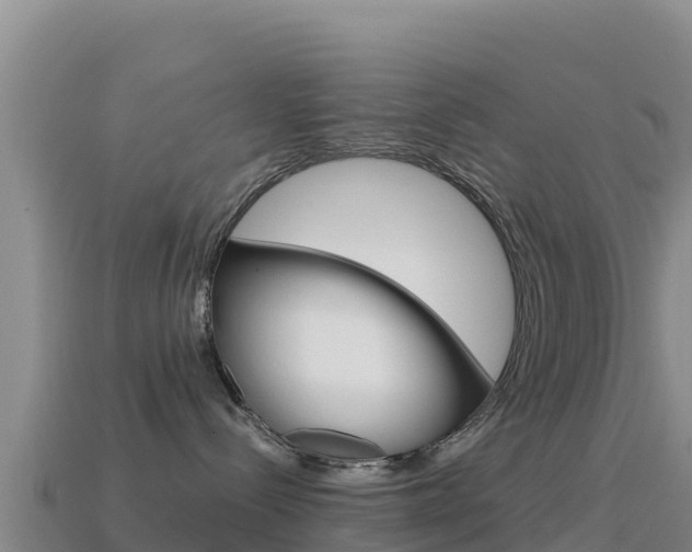 X0000114630288200910201028