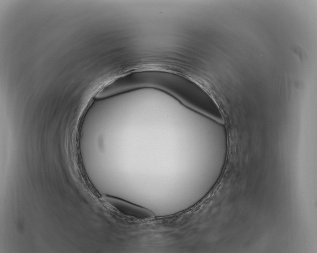 X0000114630289200910201028