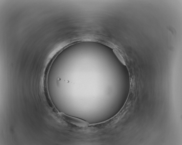 X0000114630292200910201028