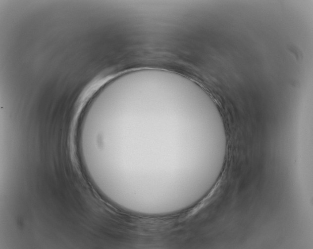 X0000114630294200910201028