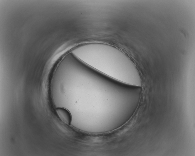 X0000114630295200910201028