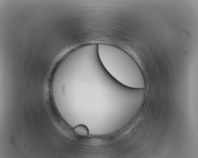 X0000114630298200910201027