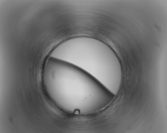 X0000114630299200910201027