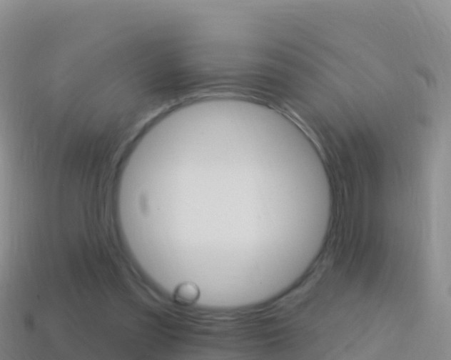 X0000114630301200910201027