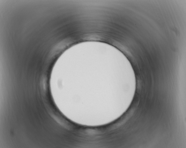 X0000114630302200910201027