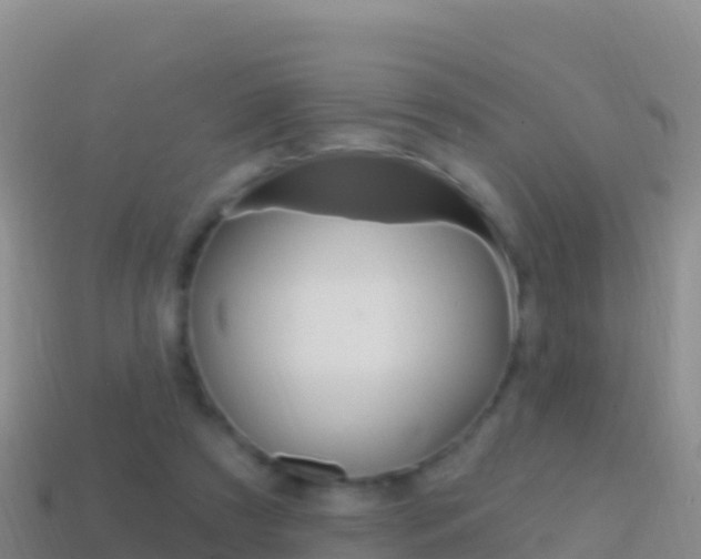 X0000114630305200910201027
