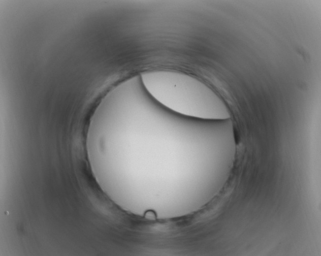 X0000114630306200910201027