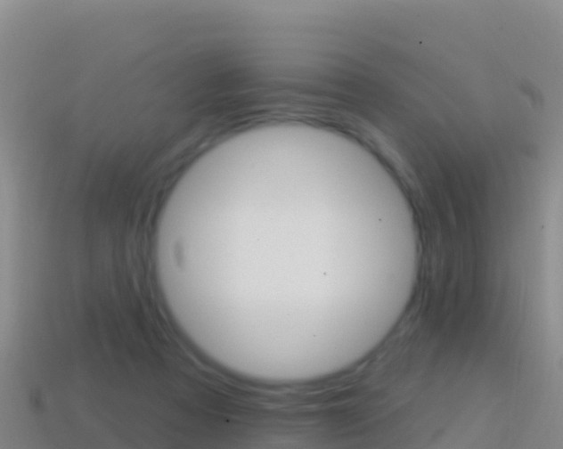 X0000114630313200910201027
