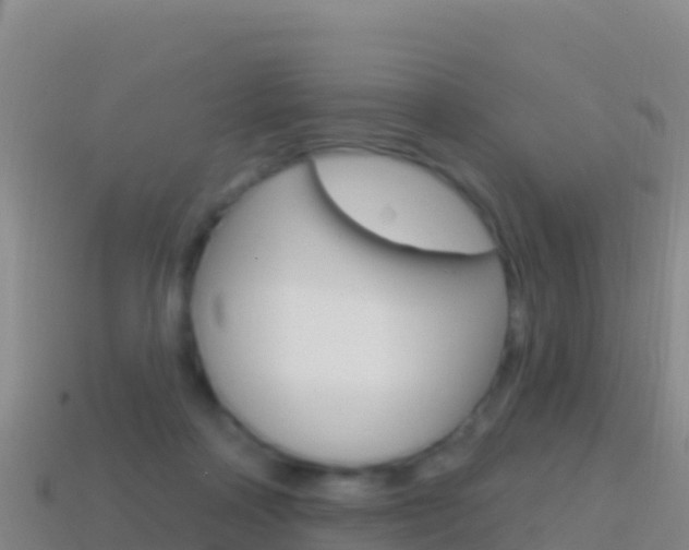 X0000114630314200910201027